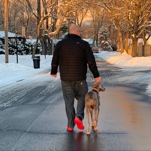 Meet your Posher, Toby